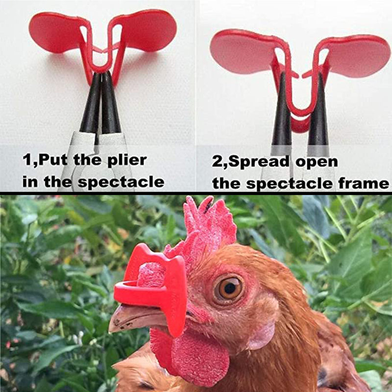 24 piezas de aves de corral de faisán y anteojeras de pollo con alicates Peeper Vision Blocker