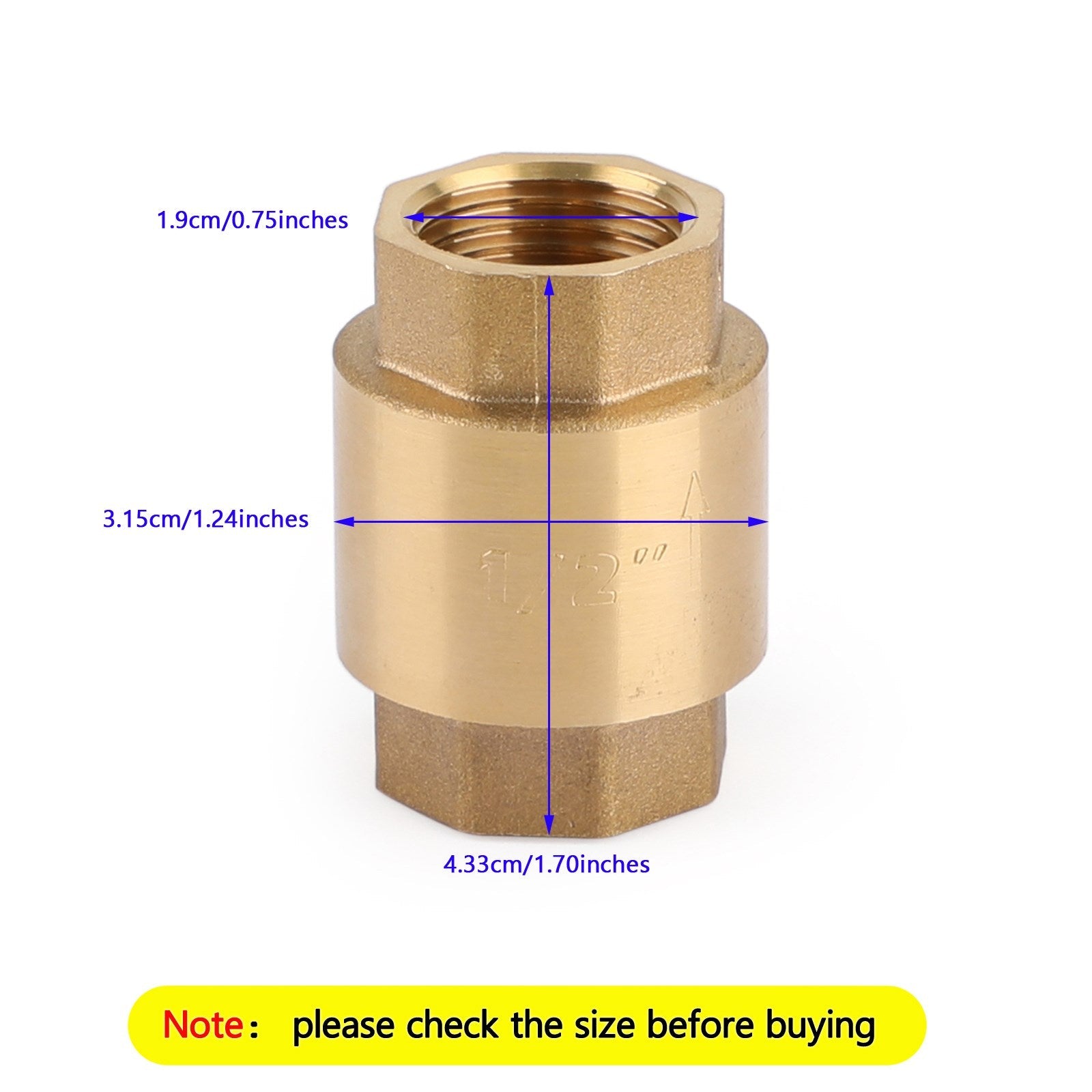 DN15/DN20 NPT صمام فحص داخلي نحاسي محمل بزنبرك 200PSI