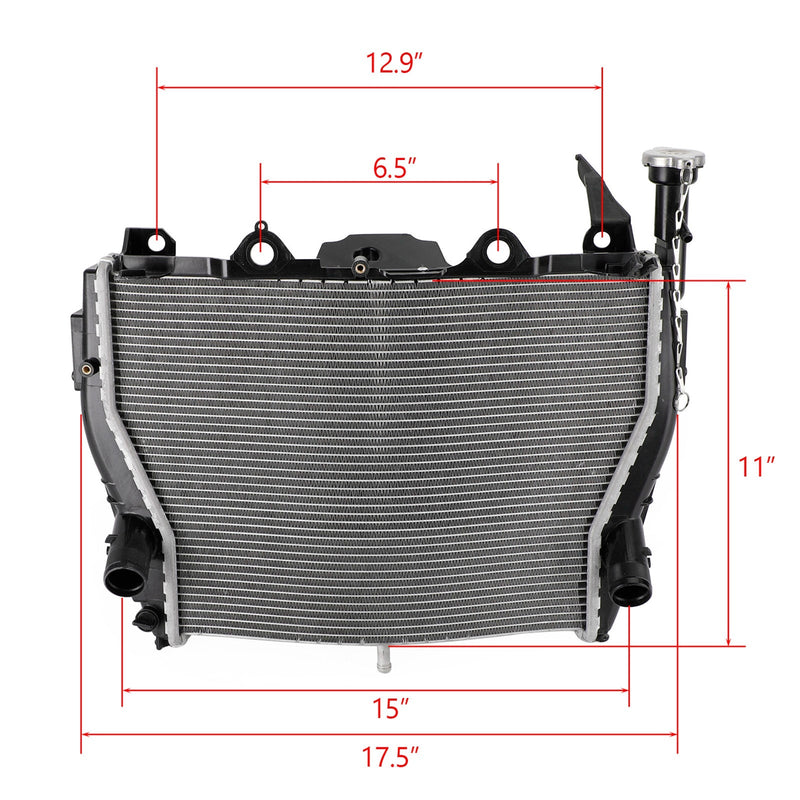 Refrigeración del enfriador del radiador del motor BMW S1000RR 2009-2019