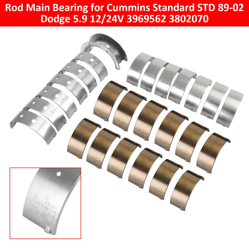 3969562 3802070 Rod Main Bearing for Cummins Standard STD 89-02 Dodge 5.9 12/24V
